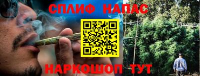 крисы Бузулук