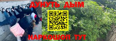 крисы Бузулук