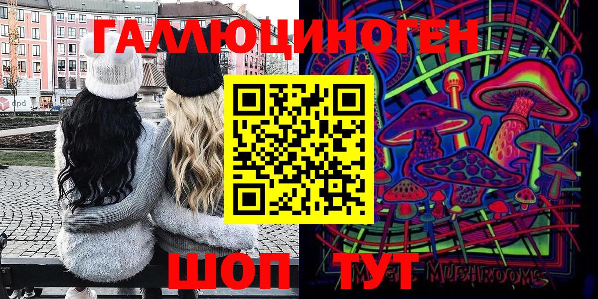 Глазов  Галлюциногенные грибы Cubensis  Вход с VPN 