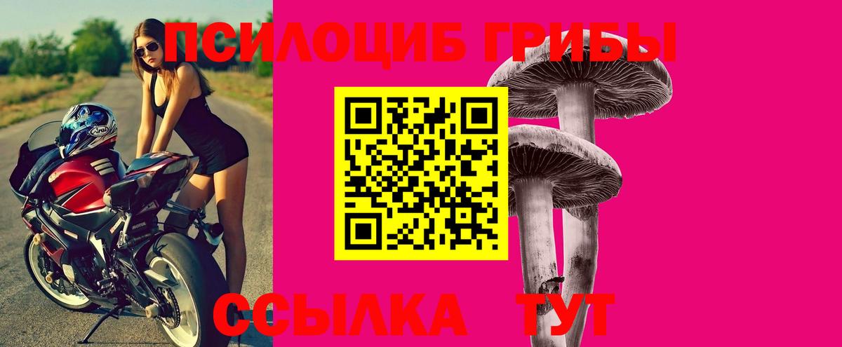 Псилоцибиновые грибы мицелий Глазов